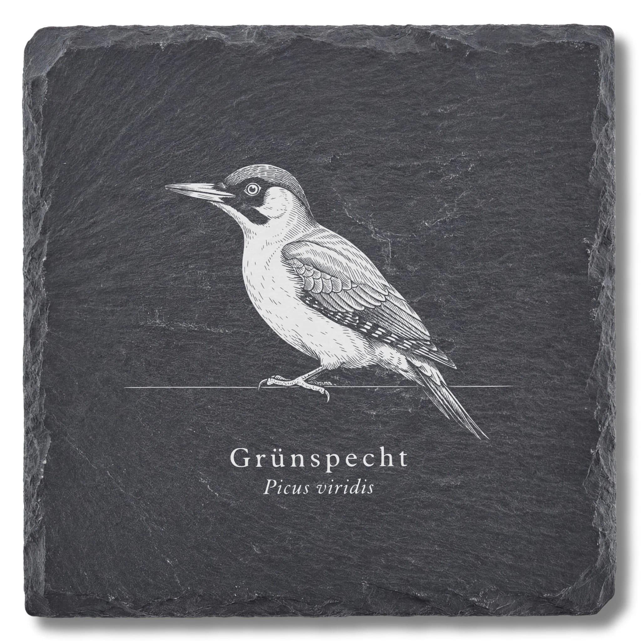 Specht Deko: Grünspecht als Vogel-Tafel auf Schieferuntersetzer